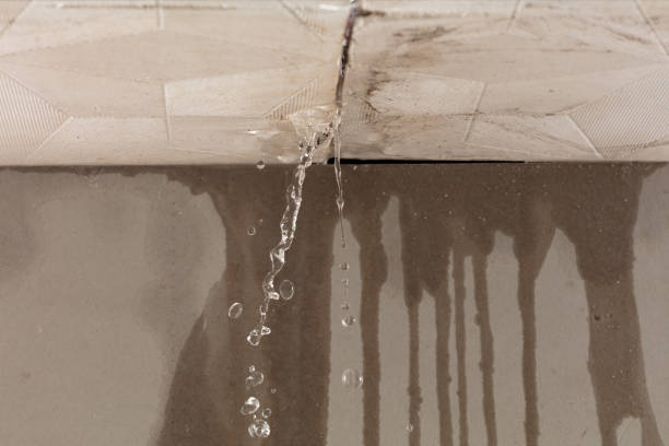 Professional Structural Drying technician working in Niagara, WI